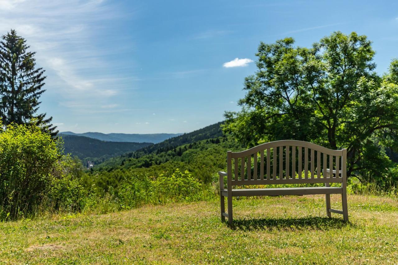 Apartmany Nad Slikovkou Jachymov Bagian luar foto